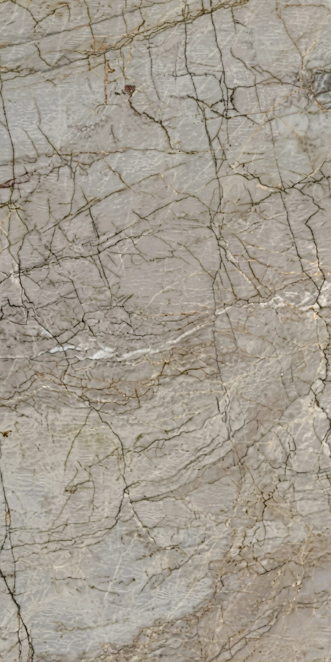 Roma Imperial Quartzite